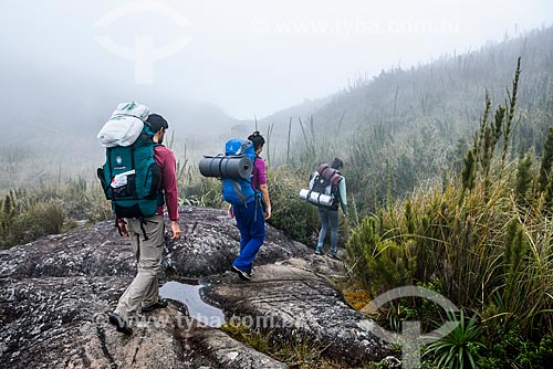  Trail to Pedra do Sino (Bell Stone) - Serra dos Orgaos National Park  - Teresopolis city - Rio de Janeiro state (RJ) - Brazil