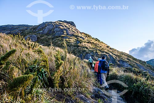  Trail to Pedra do Sino (Bell Stone) - Serra dos Orgaos National Park  - Teresopolis city - Rio de Janeiro state (RJ) - Brazil