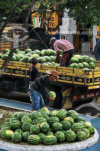  Men unloading truck with watermelons (Citrullus lanatus) - Parintins city  - Parintins city - Amazonas state (AM) - Brazil