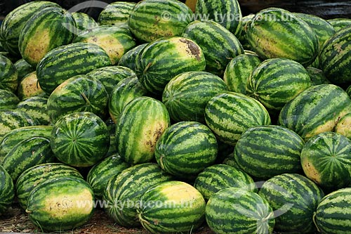  Watermelon (Citrullus lanatus) to sale - street fair in Parintins city  - Parintins city - Amazonas state (AM) - Brazil