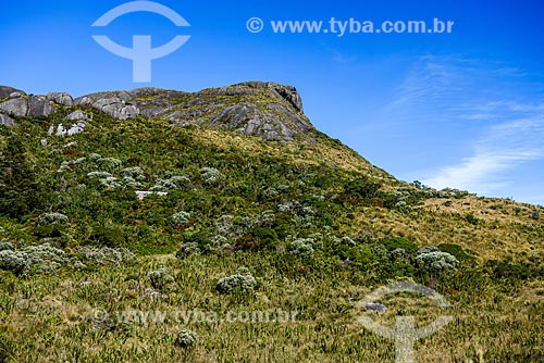  View of Pedra do Sino (Bell Stone) - Serra dos Orgaos National Park  - Teresopolis city - Rio de Janeiro state (RJ) - Brazil