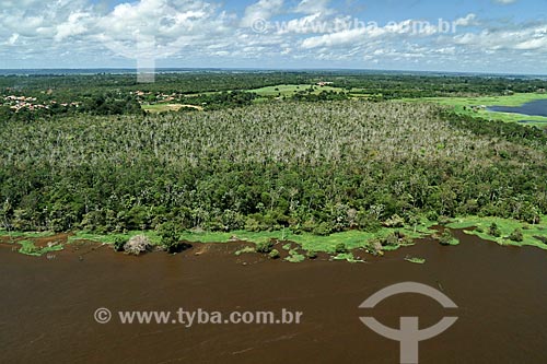  Top view of igarapes - Amazonas River  - Parintins city - Amazonas state (AM) - Brazil