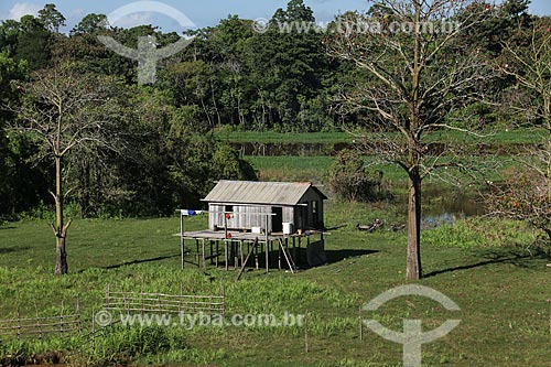  Stilts - Amazonas River with little water even in the full season  - Parintins city - Amazonas state (AM) - Brazil