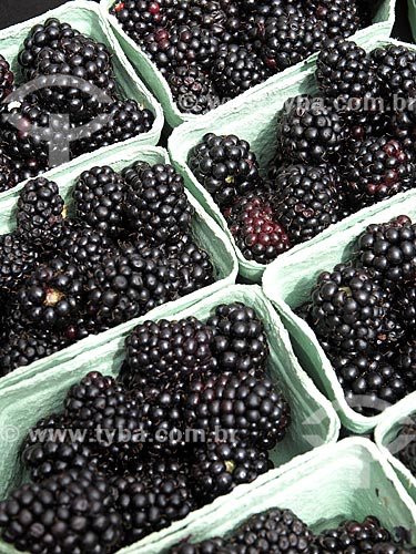  Boxes of blackberries for sale at the Albert Cuyp Markt  - Amsterdam city - North Holland - Netherlands