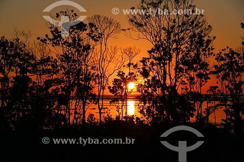  Sunset - Amazonas River near to Itacoatiara city  - Itacoatiara city - Amazonas state (AM) - Brazil