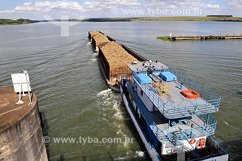  Barge carrying sugarcane - Tiete-Parana Waterway  - Pederneiras city - Sao Paulo state (SP) - Brazil