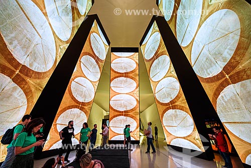  Anthropocene facilities - six pillars ten meters with projections showing human interference in the planet - Amanha Museum (Museum of Tomorrow)  - Rio de Janeiro city - Rio de Janeiro state (RJ) - Brazil