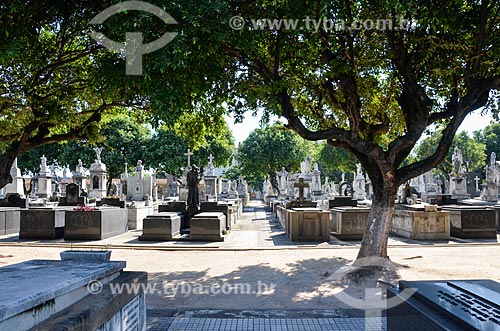  Inside of Venerable Third Order of Saint Francis of Penance Cemetery - also known as Cemetery of Penance  - Rio de Janeiro city - Rio de Janeiro state (RJ) - Brazil