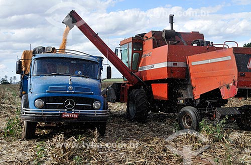  Corn unloading during mechanized harvesting  - Mirassol city - Sao Paulo state (SP) - Brazil