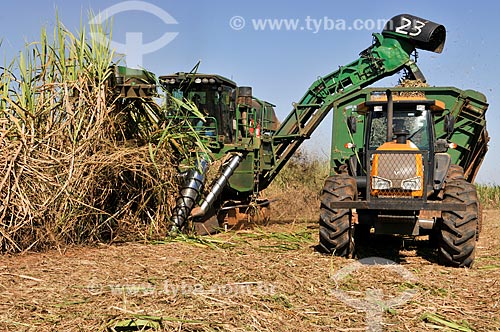  Sugarcane mechanized harvesting  - Planalto city - Sao Paulo state (SP) - Brazil