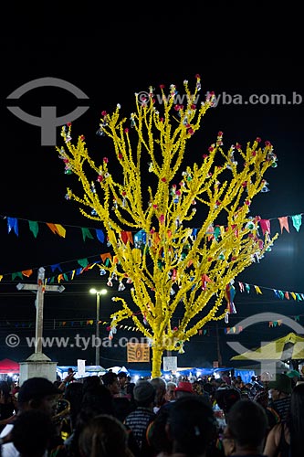  Detail of decorated tree during party of the Death of Ox - time of death of the main character of the Bumba-meu-boi  - Sao Jose de Ribamar city - Maranhao state (MA) - Brazil
