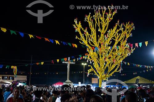  Detail of decorated tree during party of the Death of Ox - time of death of the main character of the Bumba-meu-boi  - Sao Jose de Ribamar city - Maranhao state (MA) - Brazil