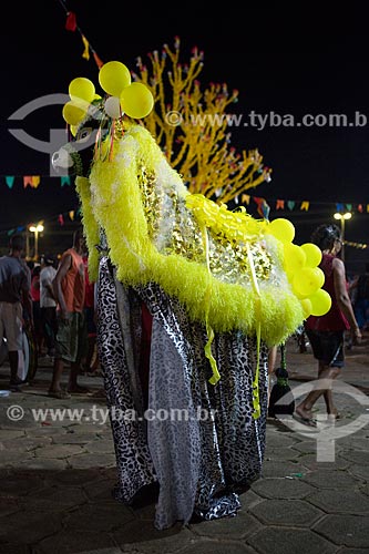  Detail of allegory during party of the Death of Ox - time of death of the main character of the Bumba-meu-boi  - Sao Jose de Ribamar city - Maranhao state (MA) - Brazil