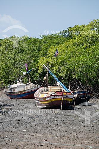  Stranded boats - mangroves during low tide  - Raposa city - Maranhao state (MA) - Brazil