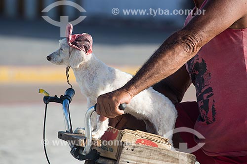  Man carrying dog on bike  - Raposa city - Maranhao state (MA) - Brazil