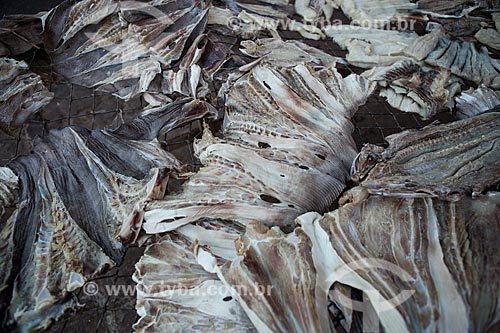  Detail of salted fish  - Raposa city - Maranhao state (MA) - Brazil