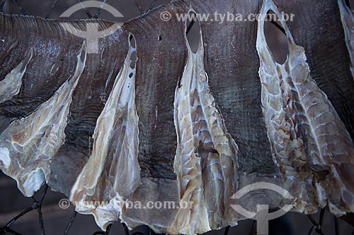  Detail of salted fish  - Raposa city - Maranhao state (MA) - Brazil