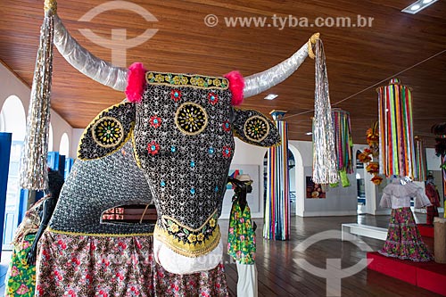  Bumba meu boi on exhibit - Casa do Maranhao (Maranhao House)  - Sao Luis city - Maranhao state (MA) - Brazil