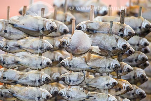  Piaba fish on sale - Sao Luis Central Market  - Sao Luis city - Maranhao state (MA) - Brazil