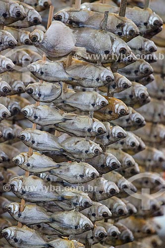  Piaba fish on sale - Sao Luis Central Market  - Sao Luis city - Maranhao state (MA) - Brazil