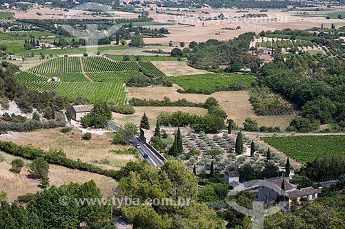  General view of Gordes city fields  - Gordes city - Vaucluse department - France
