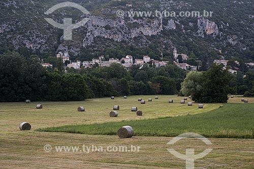  Hay harvest with the Monieux city in the background  - Monieux city - Vaucluse department - France