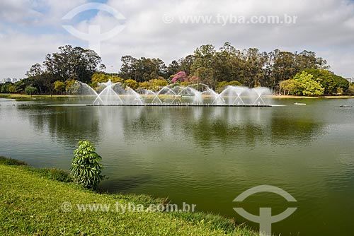  Fountain of Ibirapuera Lake - Ibirapuera Park  - Sao Paulo city - Sao Paulo state (SP) - Brazil