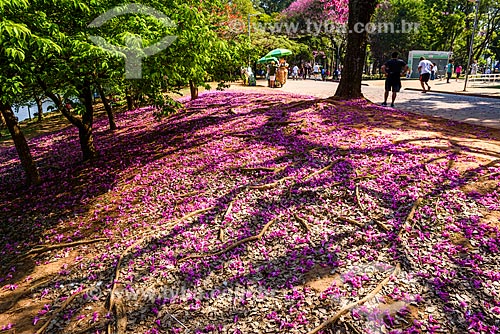  Detail of floor covered with flowers of Pink Ipe tree (Tabebuia heptaphylla) - Ibirapuera Park  - Sao Paulo city - Sao Paulo state (SP) - Brazil
