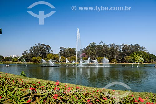  View on the banks of the Ibirapuera Lake  - Sao Paulo city - Sao Paulo state (SP) - Brazil