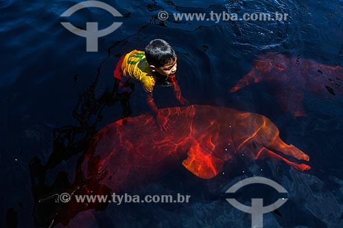  Pink dolphin (Inia geoffrensis) - Negro River  - Manaus city - Amazonas state (AM) - Brazil