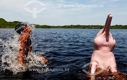 Pink dolphin (Inia geoffrensis) - Negro River  - Manaus city - Amazonas state (AM) - Brazil