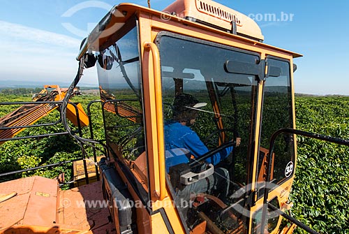  Coffee mechanized harvesting  - Garca city - Sao Paulo state (SP) - Brazil