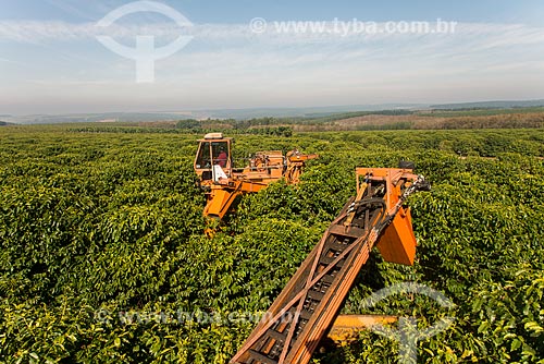  Coffee mechanized harvesting  - Garca city - Sao Paulo state (SP) - Brazil