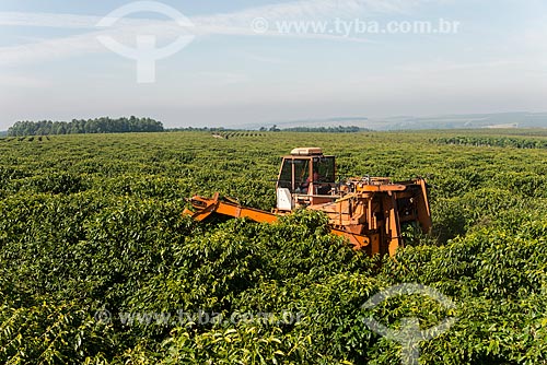  Coffee mechanized harvesting  - Garca city - Sao Paulo state (SP) - Brazil