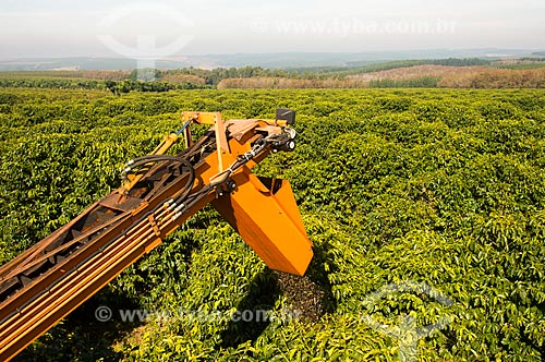  Coffee mechanized harvesting  - Garca city - Sao Paulo state (SP) - Brazil