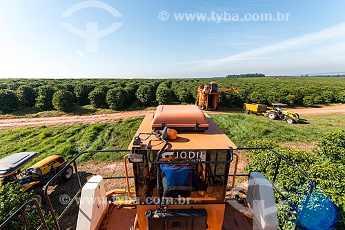  Coffee mechanized harvesting  - Garca city - Sao Paulo state (SP) - Brazil