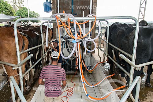  Mechanized milking  - Ocaucu city - Sao Paulo state (SP) - Brazil