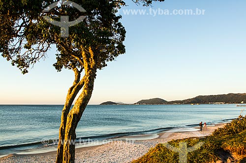  Canasvieiras Beach waterfront  - Florianopolis city - Santa Catarina state (SC) - Brazil