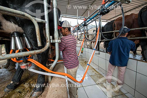  Mechanized milking  - Ocaucu city - Sao Paulo state (SP) - Brazil
