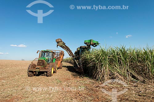  Mechanical harvesting of sugarcane  - Iaras city - Sao Paulo state (SP) - Brazil