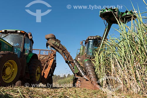  Mechanical harvesting of sugarcane  - Iaras city - Sao Paulo state (SP) - Brazil
