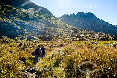  Trail between Agulhas Negras Peak to Hermes Wing Mountain - Itatiaia National Park  - Itatiaia city - Rio de Janeiro state (RJ) - Brazil