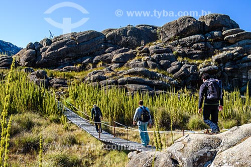  Trail between Agulhas Negras Peak to Hermes Wing Mountain - Itatiaia National Park  - Itatiaia city - Rio de Janeiro state (RJ) - Brazil