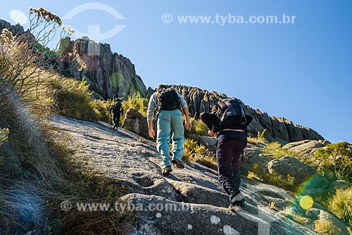  Trail between Agulhas Negras Peak to Hermes Wing Mountain - Itatiaia National Park  - Itatiaia city - Rio de Janeiro state (RJ) - Brazil