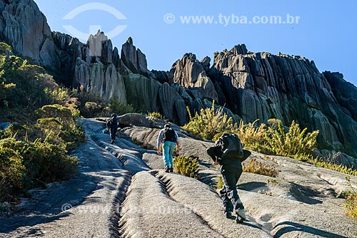  Trail between Agulhas Negras Peak to Hermes Wing Mountain - Itatiaia National Park  - Itatiaia city - Rio de Janeiro state (RJ) - Brazil