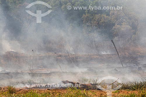  Fired on the banks of the North Perimetral Avenue (GO-070) during dry season  - Goiania city - Goias state (GO) - Brazil