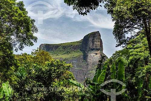  View of Rock of Gavea from Pedra Bonita (Bonita Stone)  - Rio de Janeiro city - Rio de Janeiro state (RJ) - Brazil