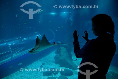  Visitor inside of AquaRio - marine aquarium of the city of Rio de Janeiro - observing stingray  - Rio de Janeiro city - Rio de Janeiro state (RJ) - Brazil