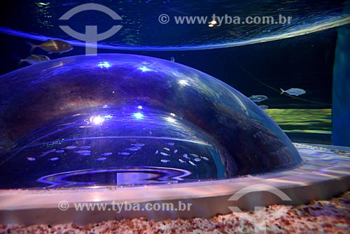  Visitors inside of AquaRio - marine aquarium of the city of Rio de Janeiro  - Rio de Janeiro city - Rio de Janeiro state (RJ) - Brazil