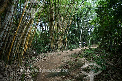  Ilha Grande - Trail to Lopes Mendes Beach  - Angra dos Reis city - Rio de Janeiro state (RJ) - Brazil